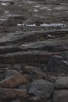 暗い色のゴツゴツとした岩が並ぶ海岸。低い場所に溜まった海水が寒空を映している。